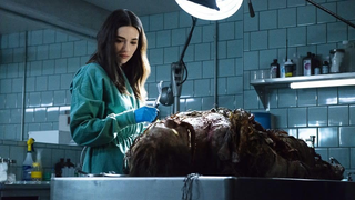 North Carolina Film Office denies that tax screw-ups are what killed the <i>Swamp Thing</i>